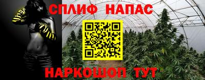 марки nbome Сланцы