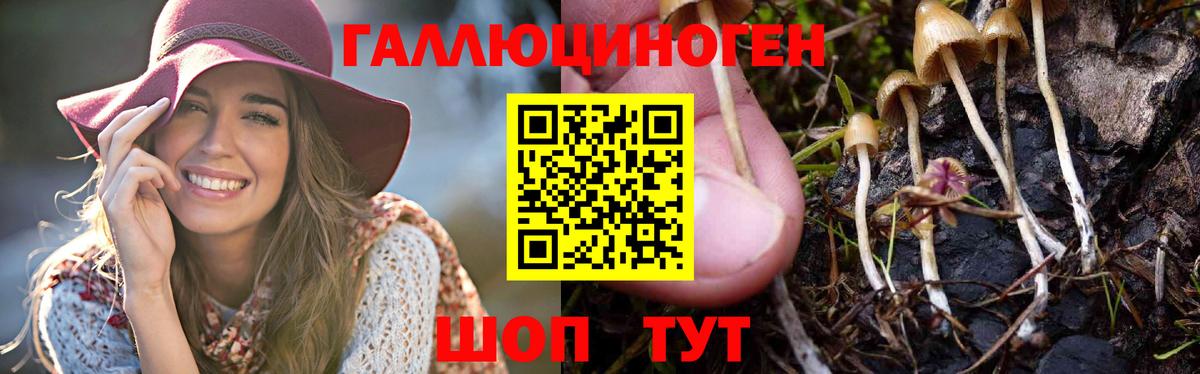 Галлюциногенные грибы мухоморы  как найти наркотики  Борзя  Вход с VPN 